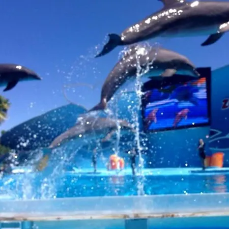 Belavista - Moradia Familias Holiday home *